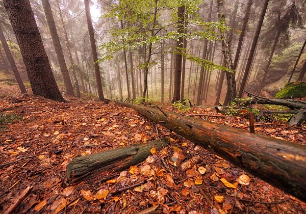 WanderungNonnenfelsen