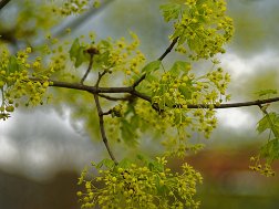 Image00002