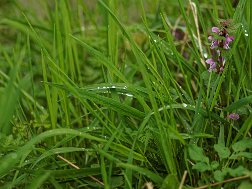Image00004