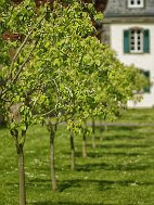 Image00020