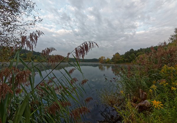 Birkensee