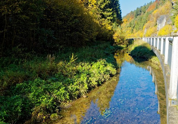 Herbstbilder