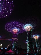 GardensbytheBay2